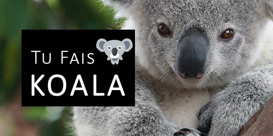 Tu fais Koala